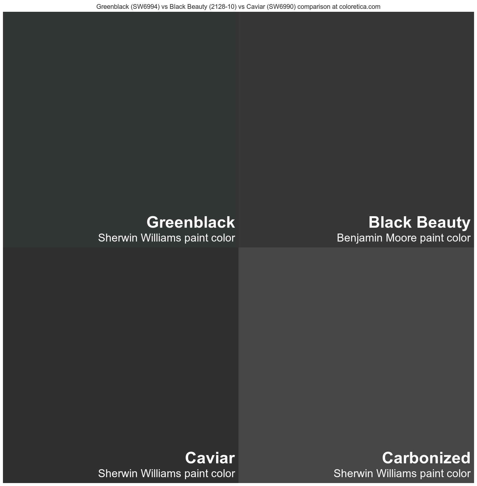 Sherwin Williams Greenblack (SW6994) vs Benjamin Moore Black Beauty 